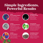 Nature's Craft Vitex Chasteberry and Folic Acid dietary wellness supplement.