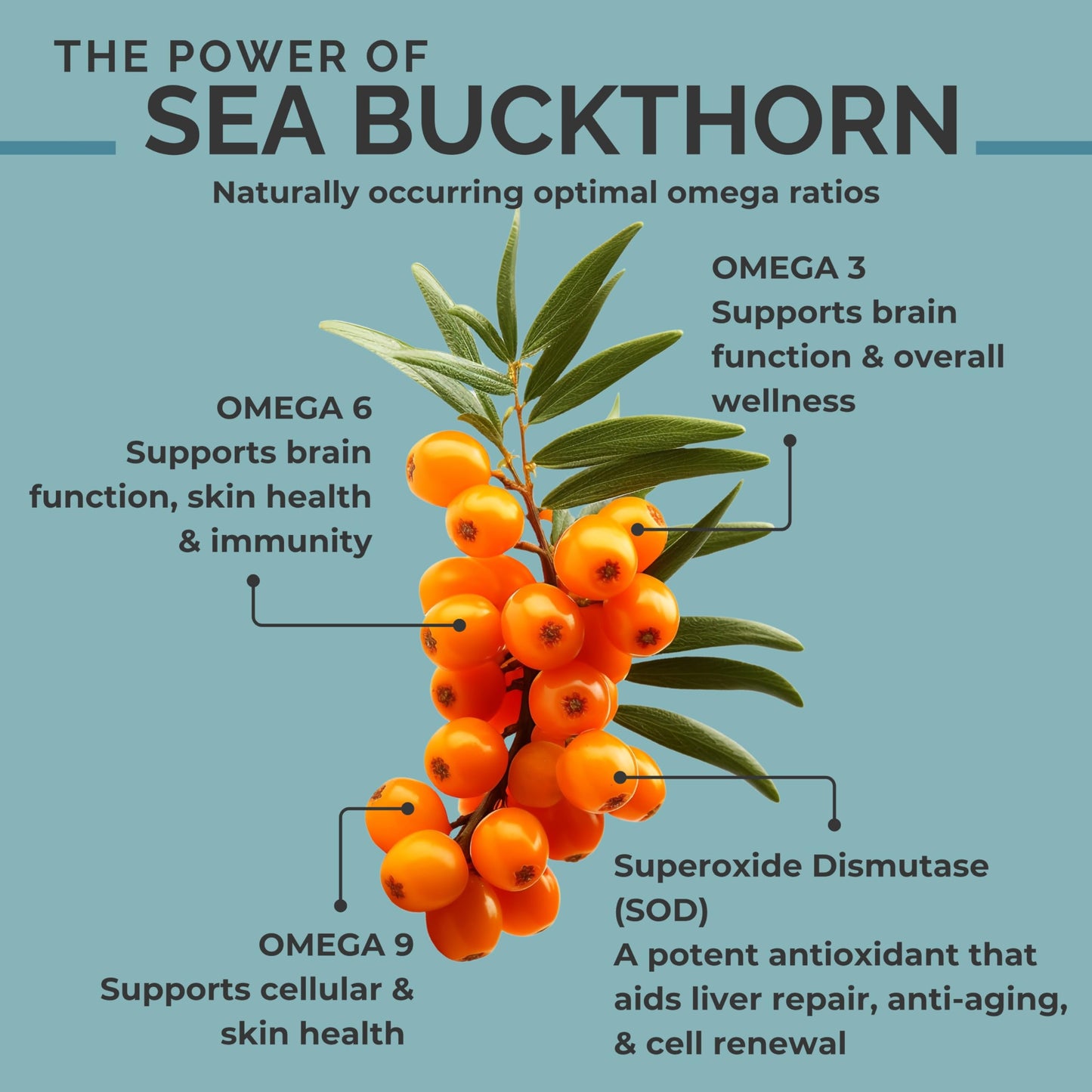 Seabuckwonders Organic Sea Buckthorn Seed Oil dropper application
