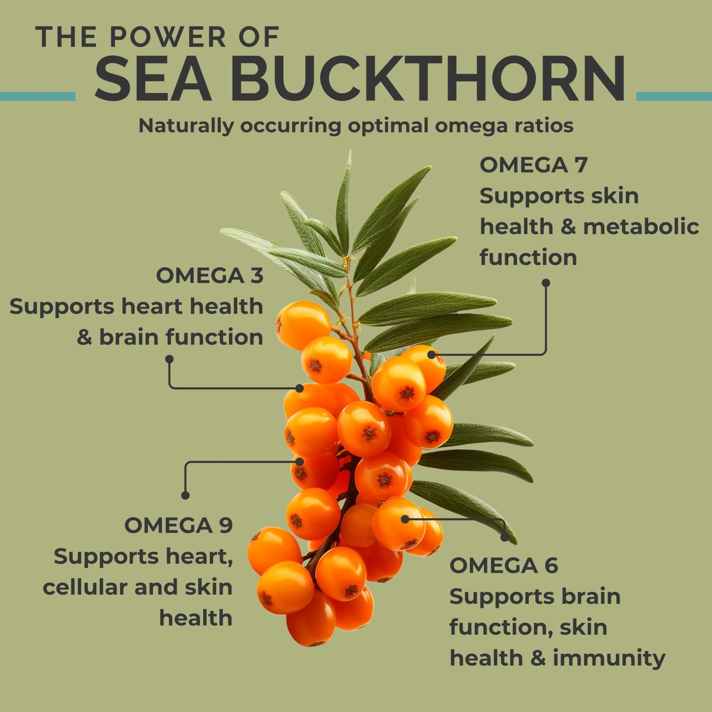 Close up of SeabuckWonders Himalayan sea buckthorn oil capsules
