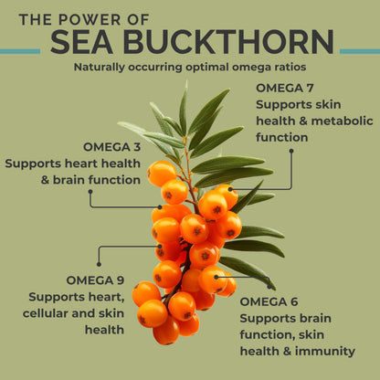 Close up of SeabuckWonders Himalayan sea buckthorn oil capsules