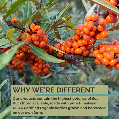 SeabuckWonders softgels showing USDA organic certification seal