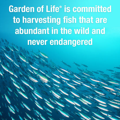 Premium prenatal fish oil softgels by Garden of Life for baby brain development