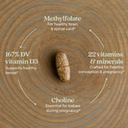 New Chapter vegetarian prenatal tablets close up texture view
