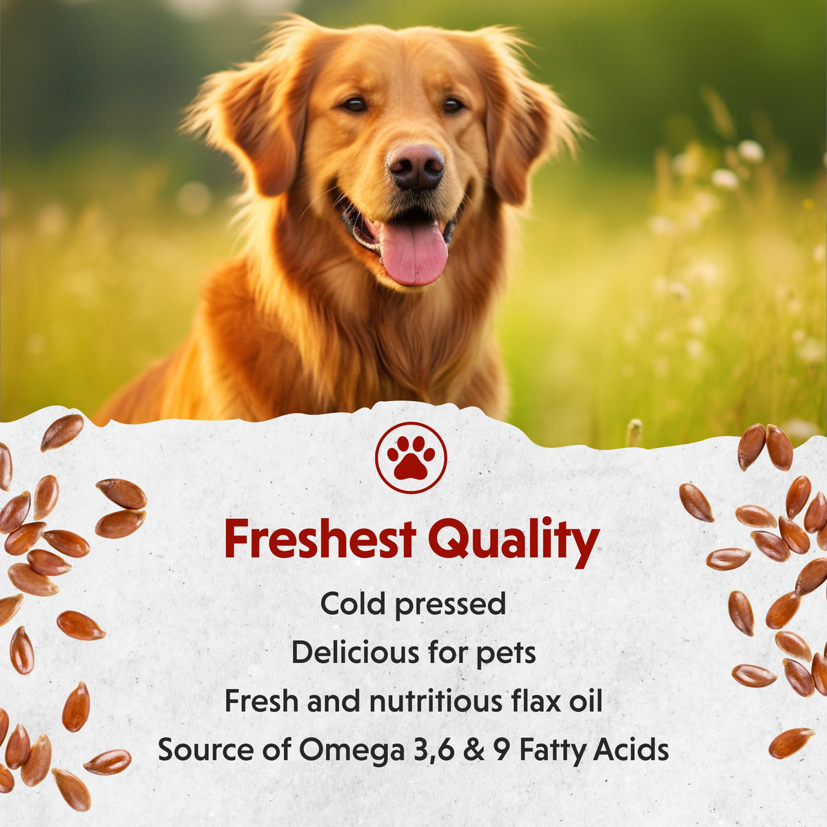 Cold-pressed plant-based omega 3 oil for dogs and cats