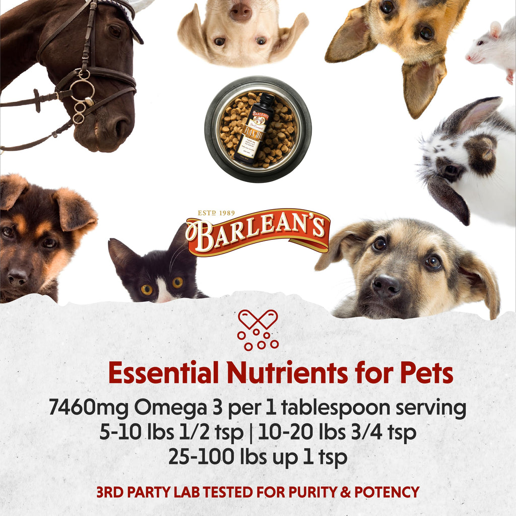 Natural dietary supplement bottle for skin and coat support