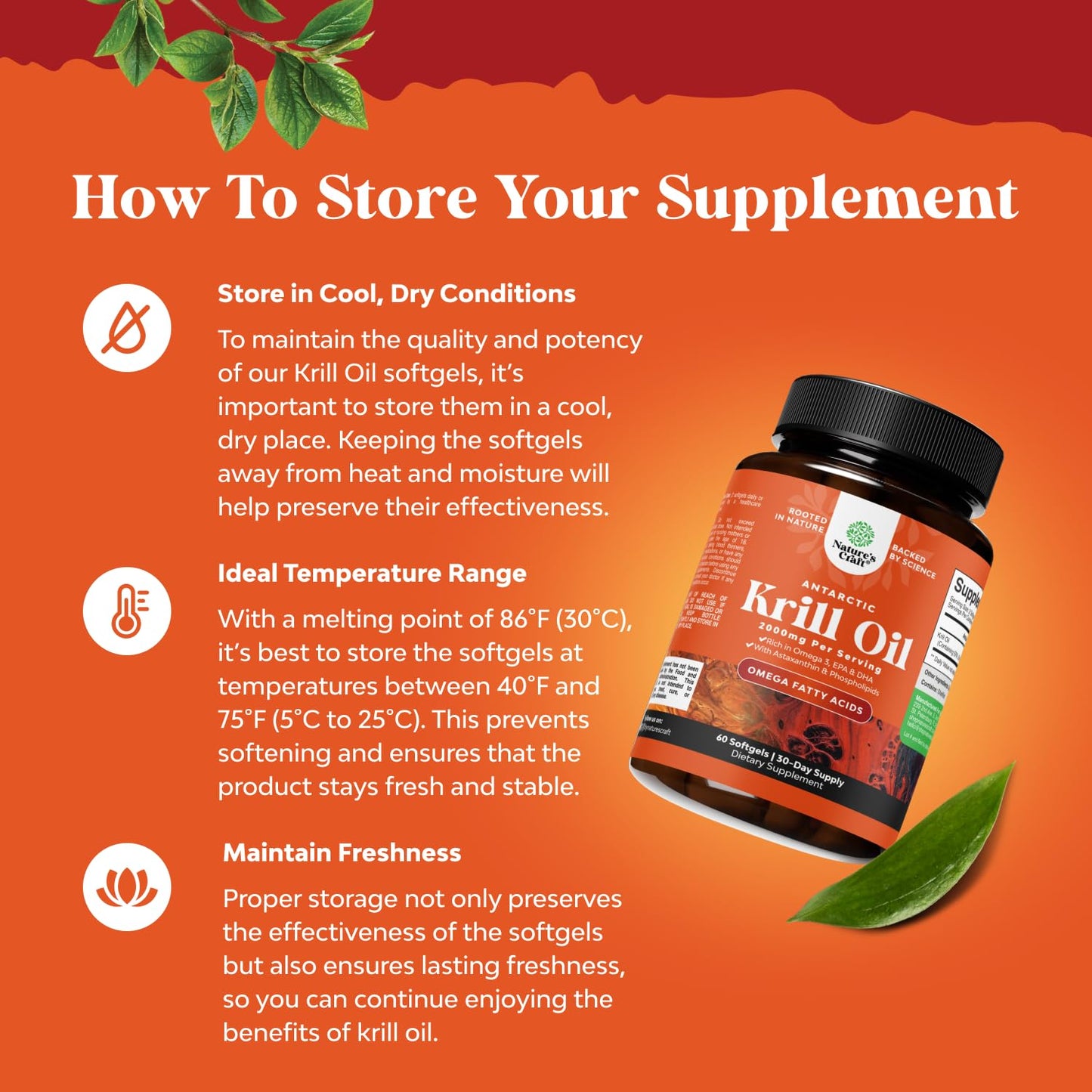 Imported Natures Craft omega 3 krill oil bottle with premium packaging details.