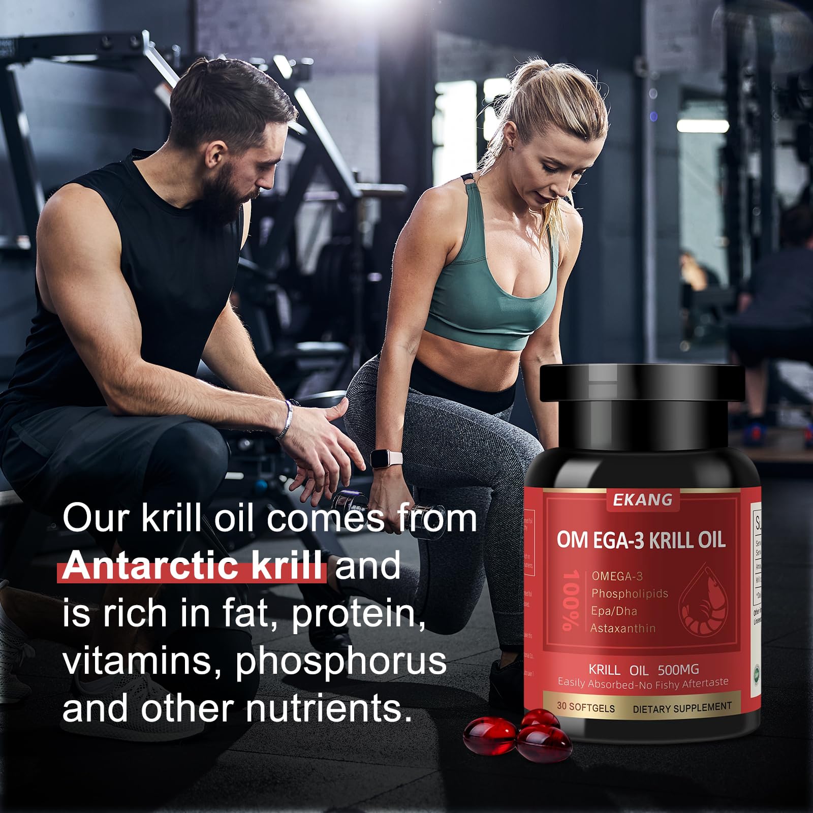 Anisx Antarctic Krill Oil 500 Mg packaging showing the key ingredients list including EPA DHA and phospholipids