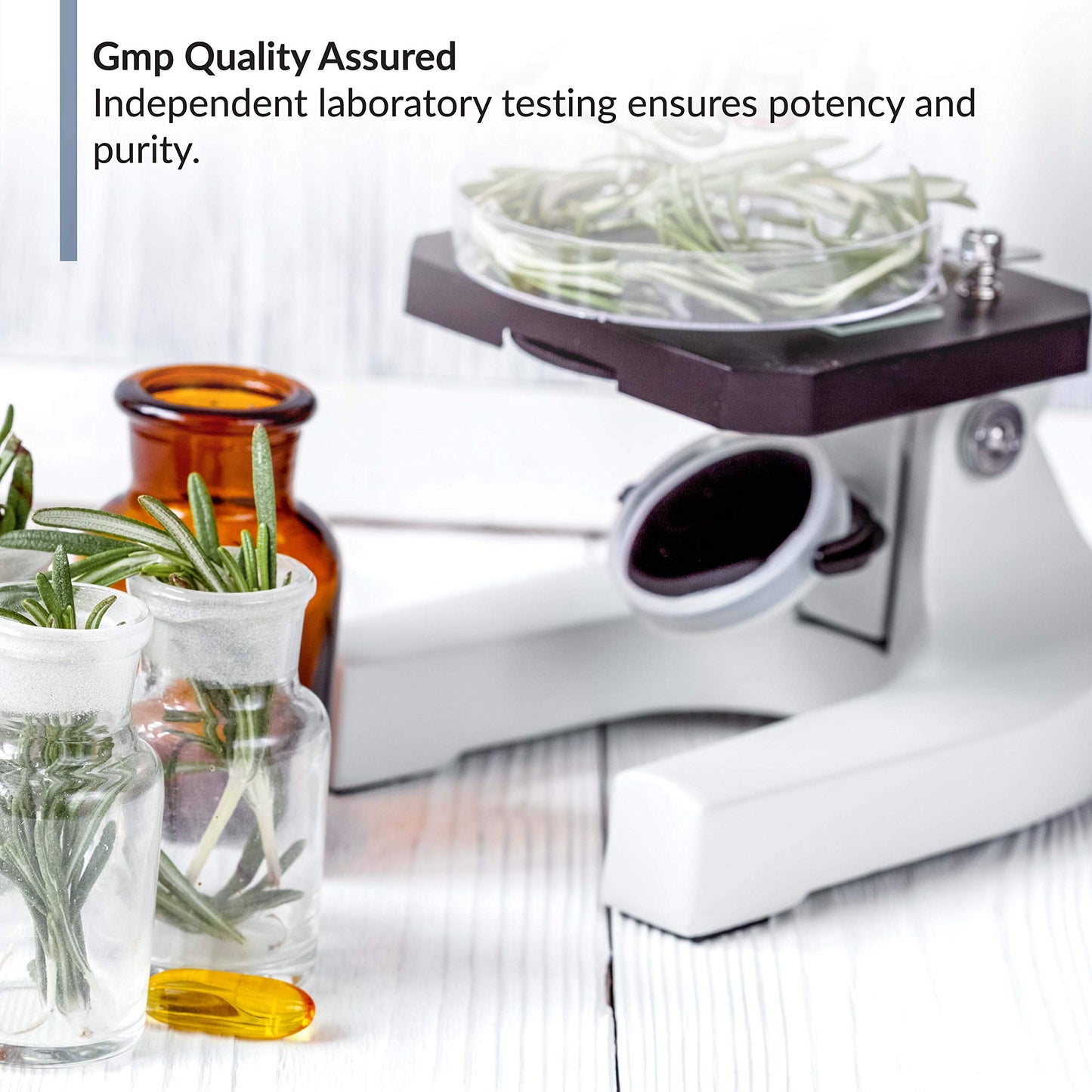BioTrust OmegaKrill packaging demonstrating five star international fish oil standards certification seal