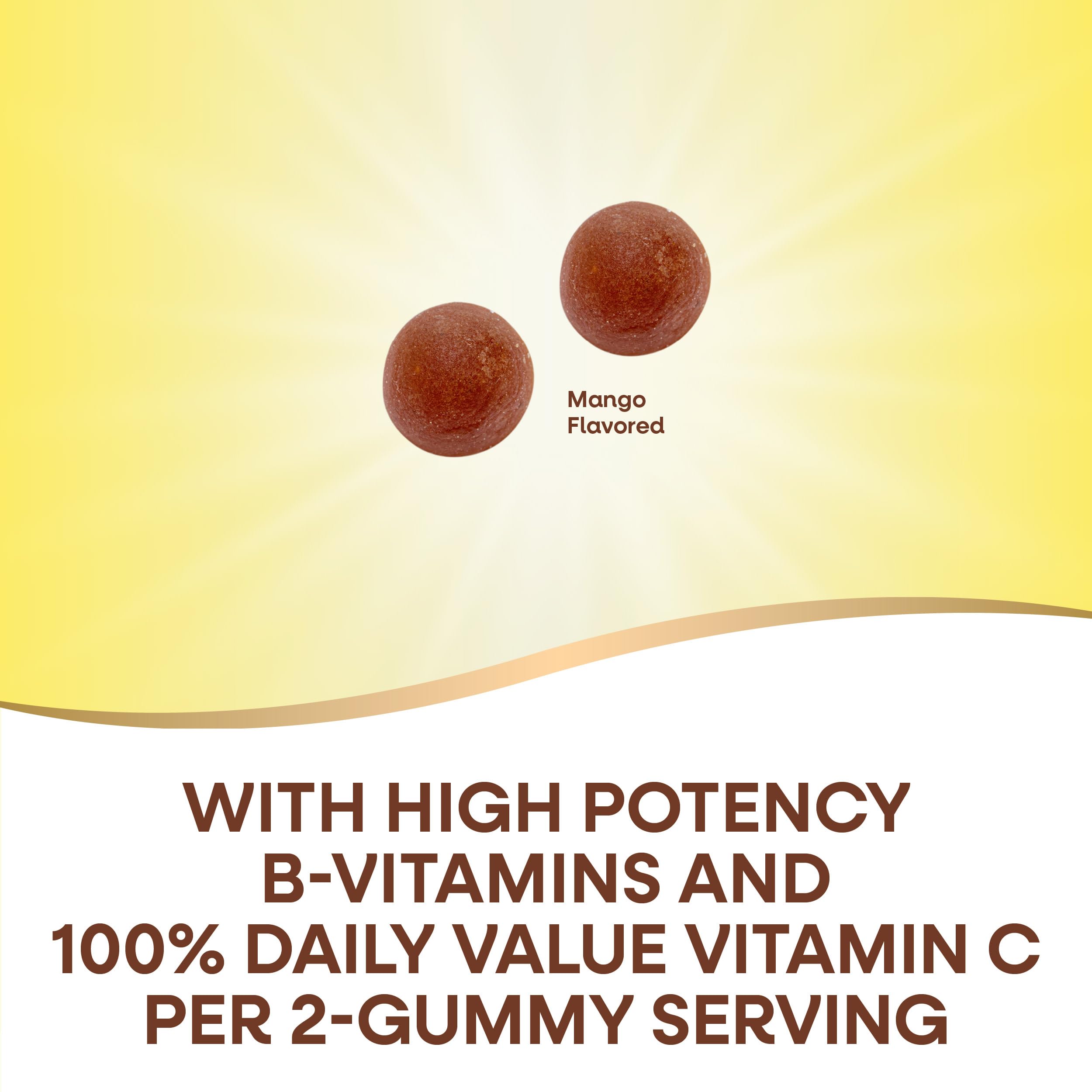 Nature's Way Alive Vitamin B Complex 60 vegetarian gummies showing supplement facts and mango flavor label.