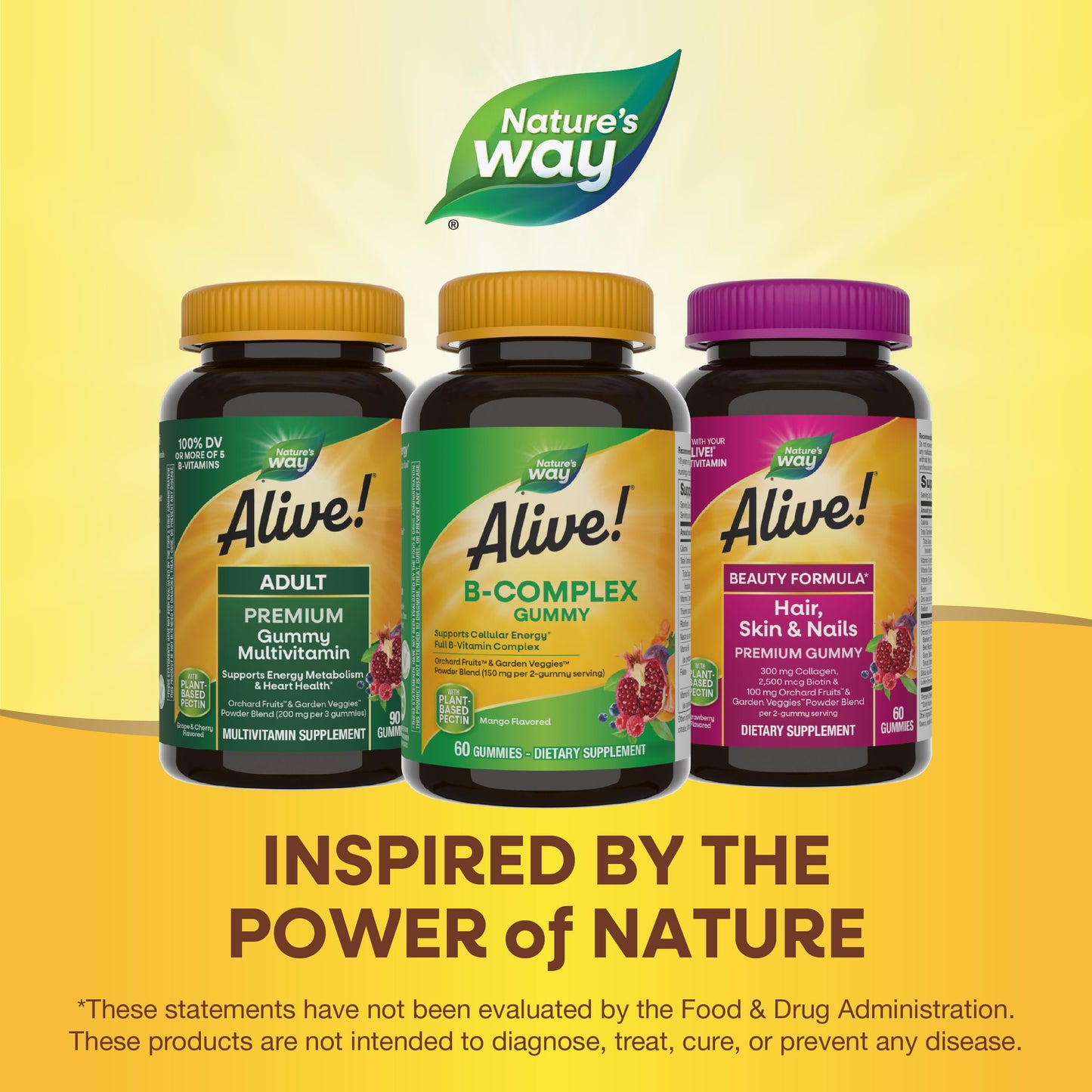 Close up look at the adult instructions and full spectrum B vitamin ingredients on the Nature's Way Alive bottle.