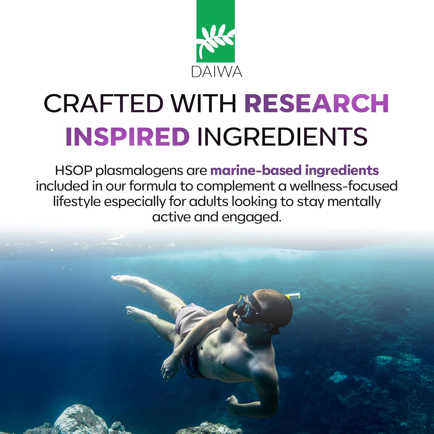 Daiwa Advanced Omega 3 cognitive wellness supplement imported to India for brain fog relief