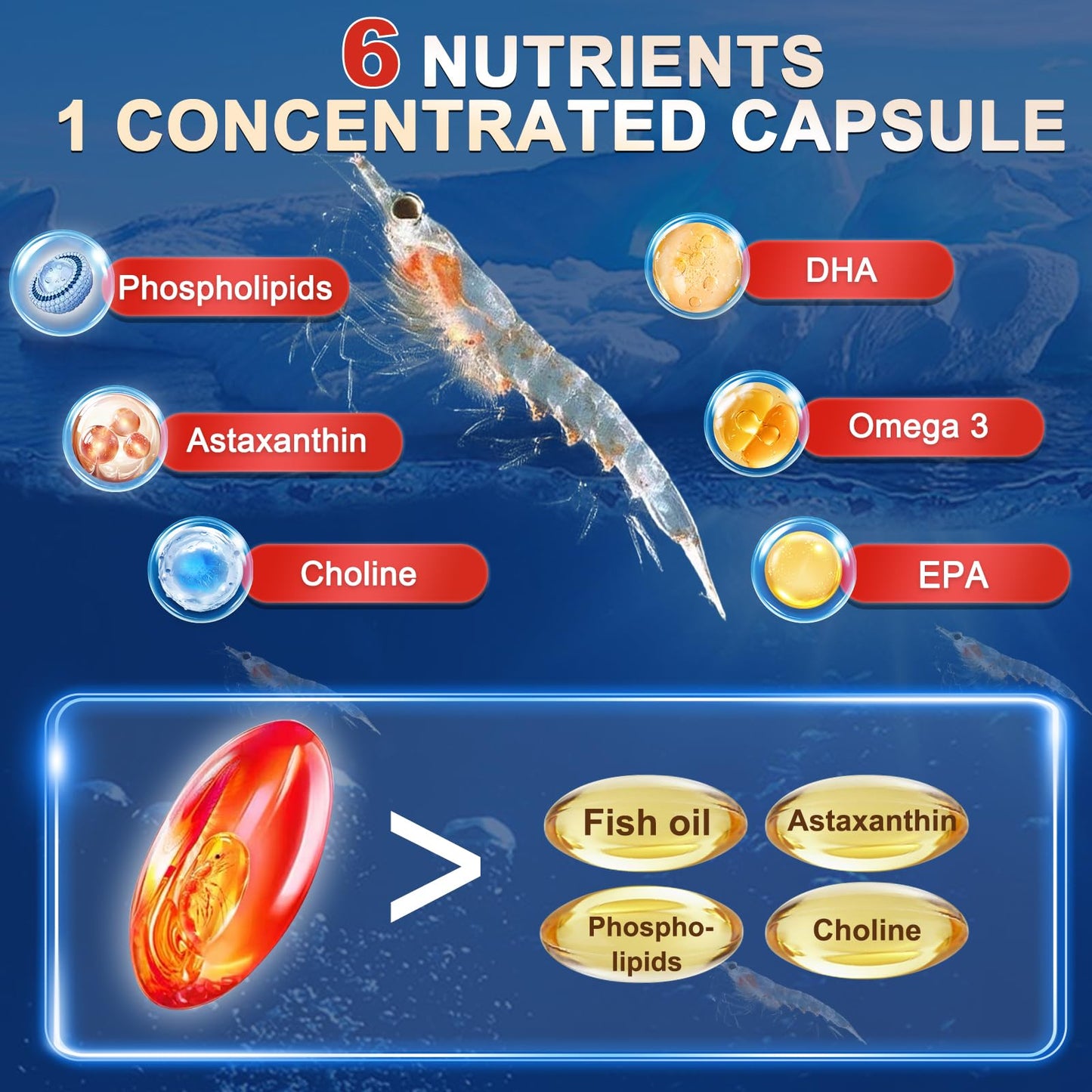 Zebora krill oil bottle standing upright next to easy to swallow daily omega three dietary softgels