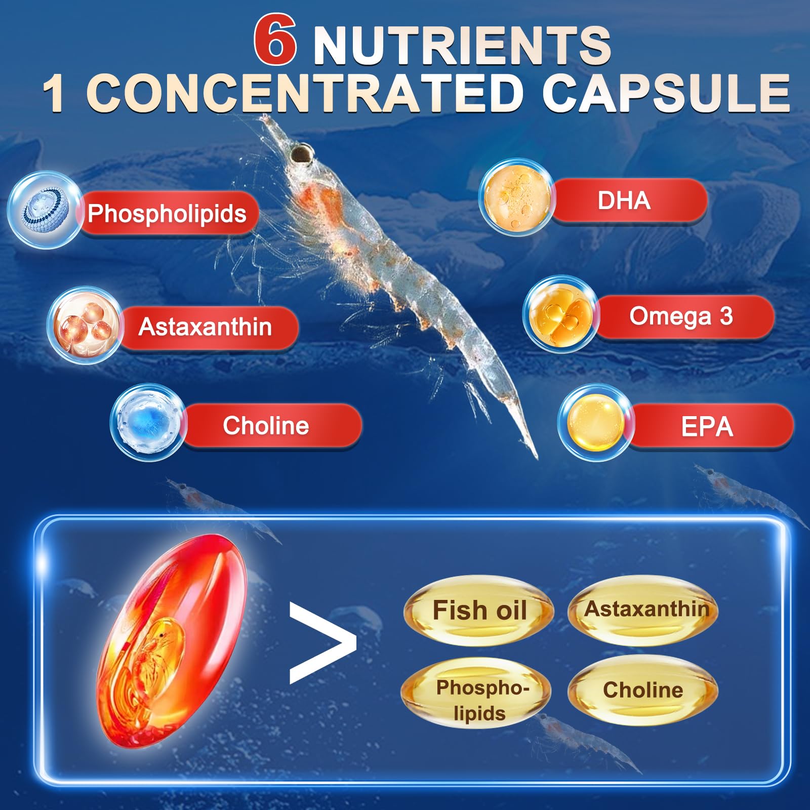 Zebora krill oil bottle standing upright next to easy to swallow daily omega three dietary softgels