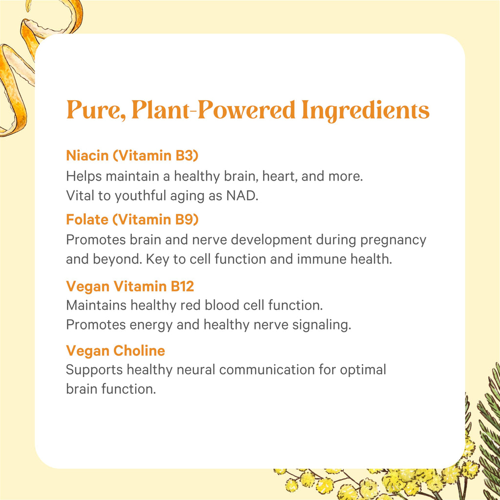 Pure Synergy fermented B vitamins 60 count vegetarian tablets side panel