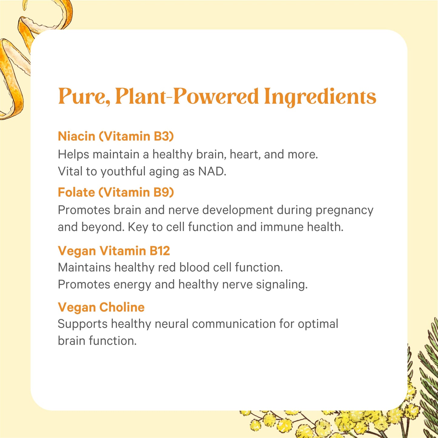 Pure Synergy fermented B vitamins 60 count vegetarian tablets side panel
