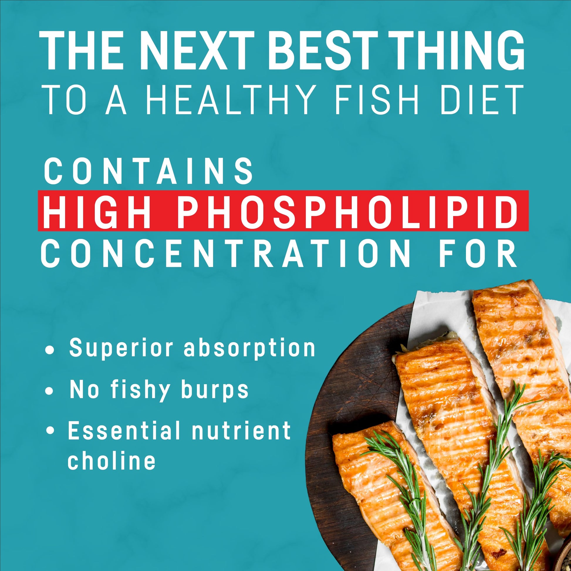 Kori Krill Oil nutritional supplement facts label close up view