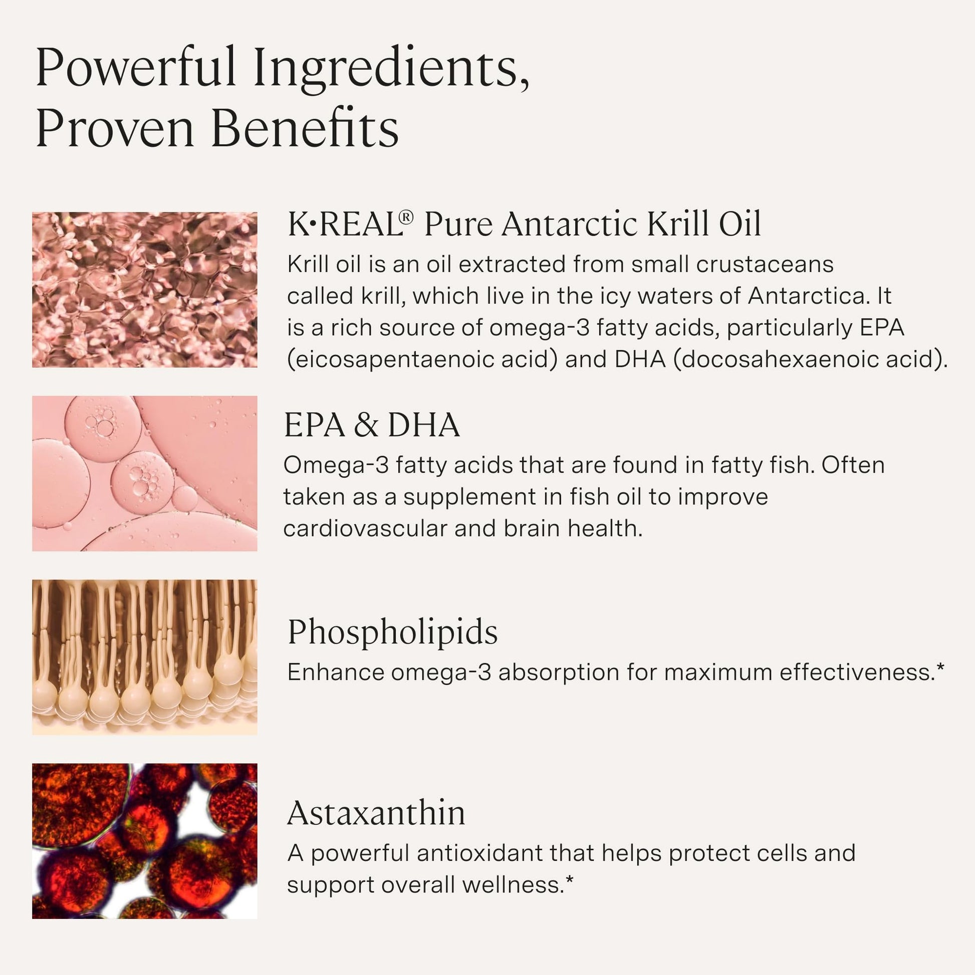 Supplement facts label of Stonehenge Health Dynamic Krill Oil showing EPA DHA and phospholipid content.