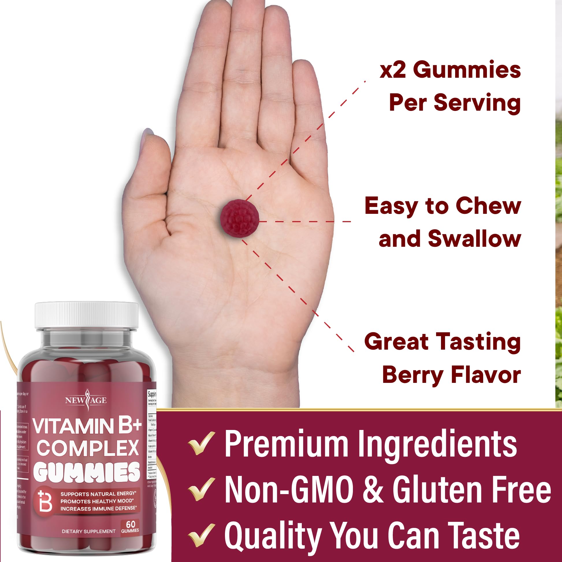 Two pack bundle of imported American vitamin B complex gummies for immune defense