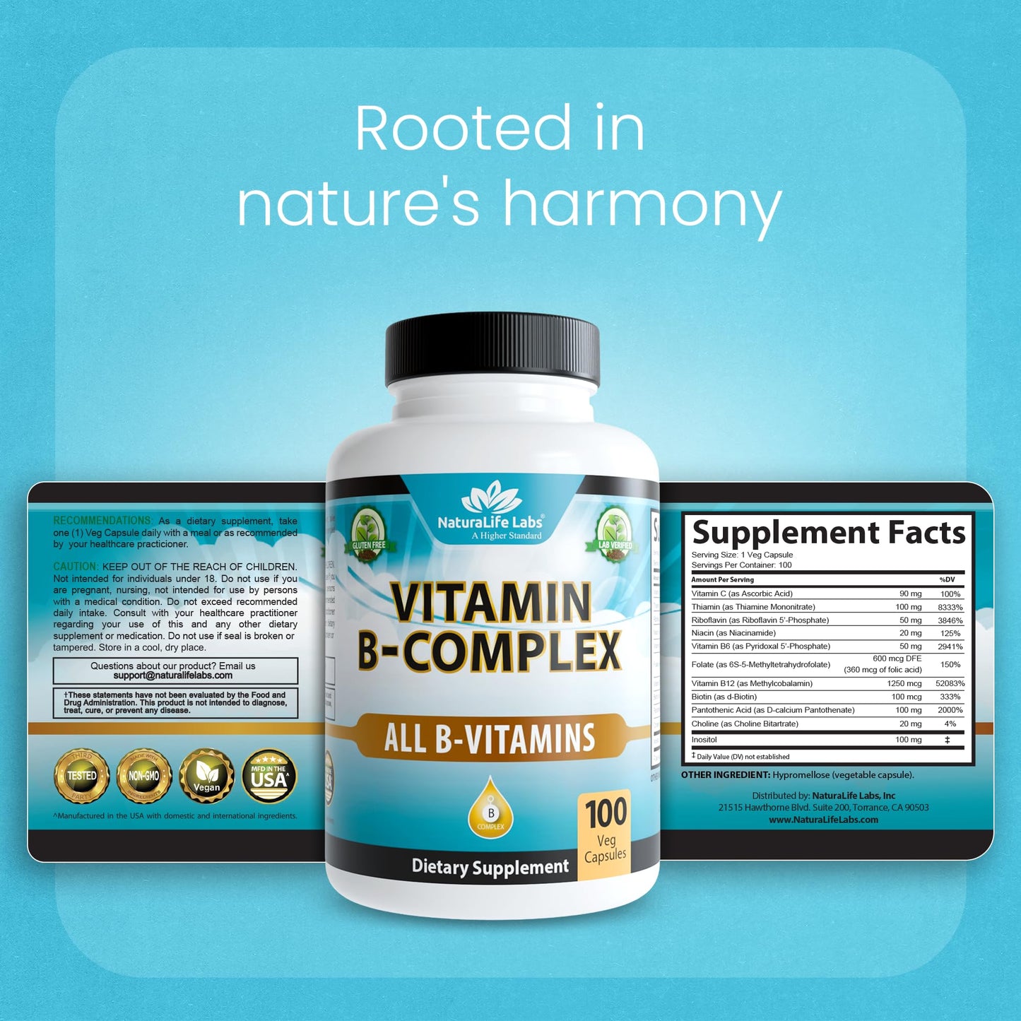 Detailed nutritional facts panel on the back of NaturaLife Labs Vitamin B Complex with Vitamin C