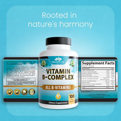 Detailed nutritional facts panel on the back of NaturaLife Labs Vitamin B Complex with Vitamin C
