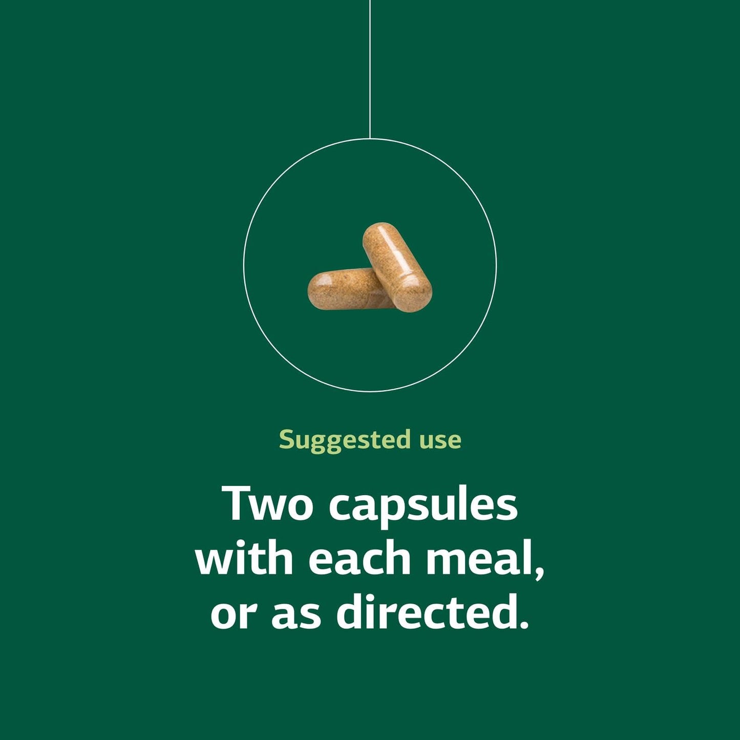 Standard Process Immuplex whole food daily immune defence capsules.