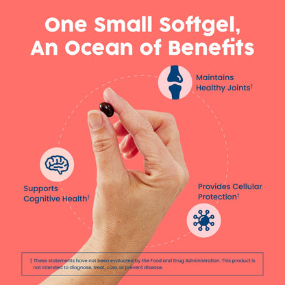 NativePath Antarctic Krill Oil bottle angled view focusing on joint heart and brain health benefits.