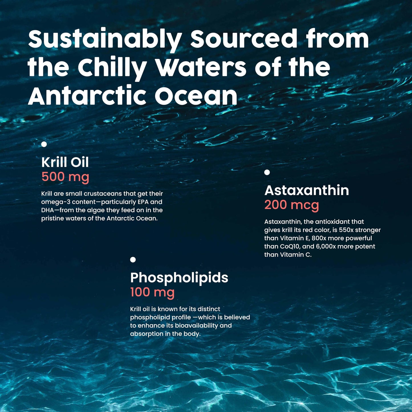 NativePath Antarctic Krill Oil 500 mg dietary supplement bottle showcasing the sustainable Antarctic sourcing seal.