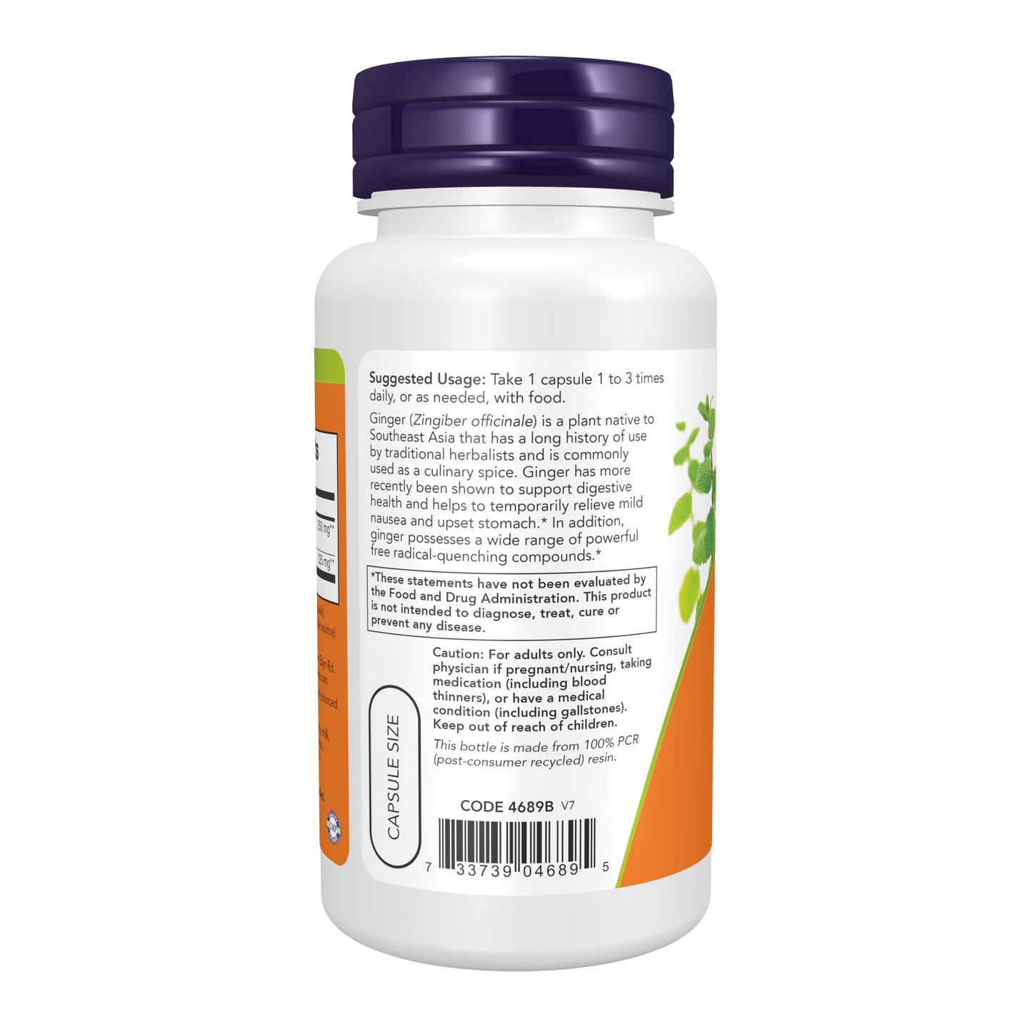 Side view of NOW Foods Ginger Root Extract 90 capsules packaging outlining dietary certifications and allergens
