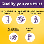 Side panel view highlighting no synthetic dyes and no high fructose corn syrup features.