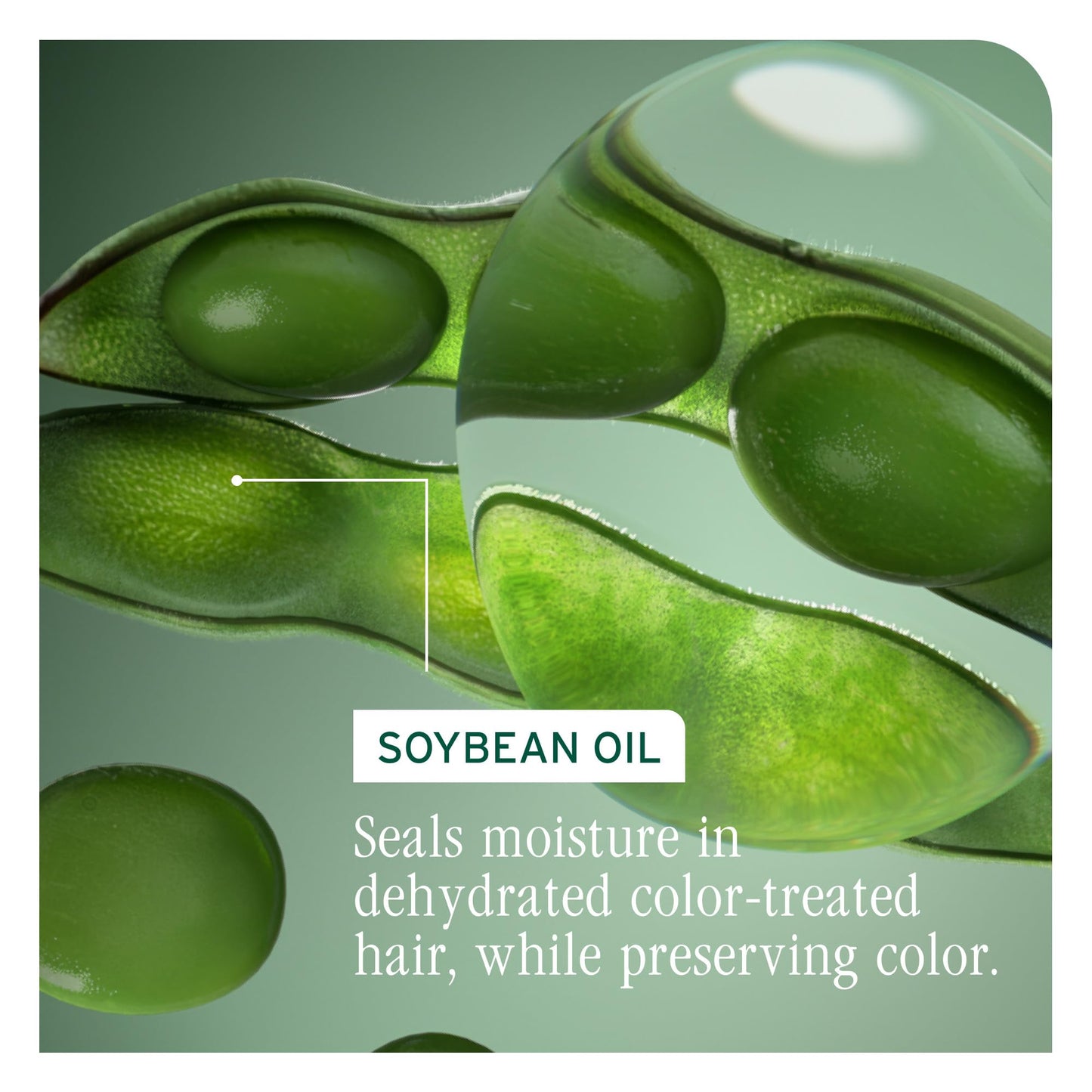 Side view of Biolage color last daily shampoo bottle illustrating authentic product design details