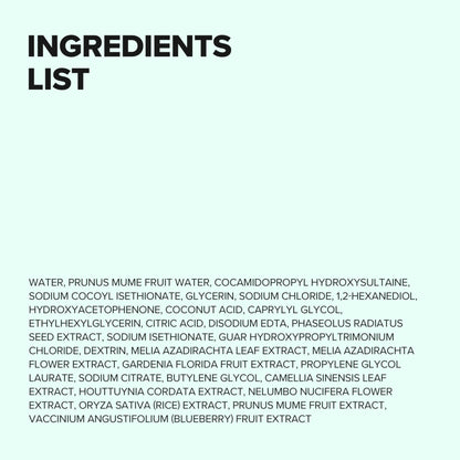 Beauty of Joseon Green Plum Refreshing Cleanser 100ml size reference
