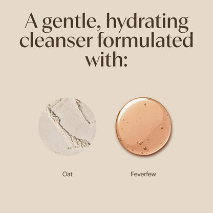 Aveeno Calm and Restore skincare product range highlighting the prebiotic oat packaging graphics