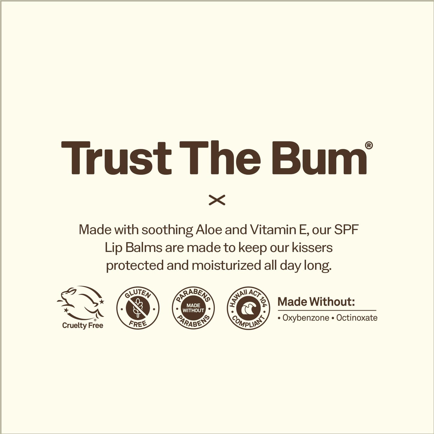 Sun Bum sunscreen lip balm variety pack for travel