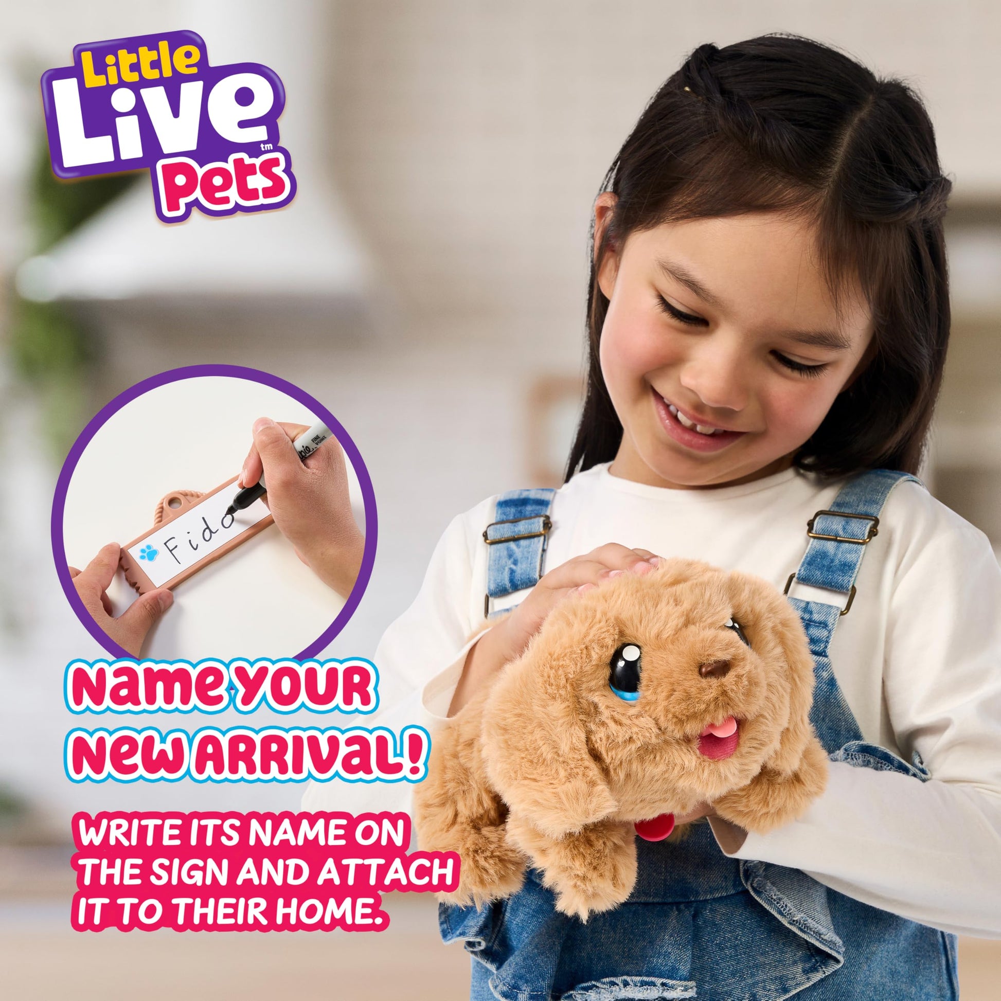 Little Live Pets My Puppy Home packaging showing full box contents