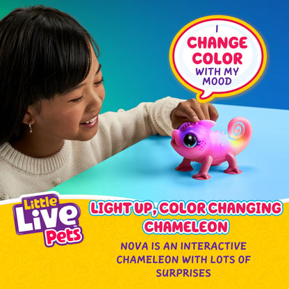 Little Live Pets Nova the Li'l Chameleon squishy light up toy lizard sticking to a window pane using suction cup feet