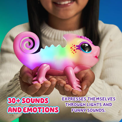 Little Live Pets Nova the Li'l Chameleon packaging box view displaying the authentic imported interactive toy attributes