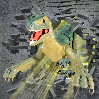VERTOY USA imported dinosaur toy retail packaging box with clear age recommendation labels
