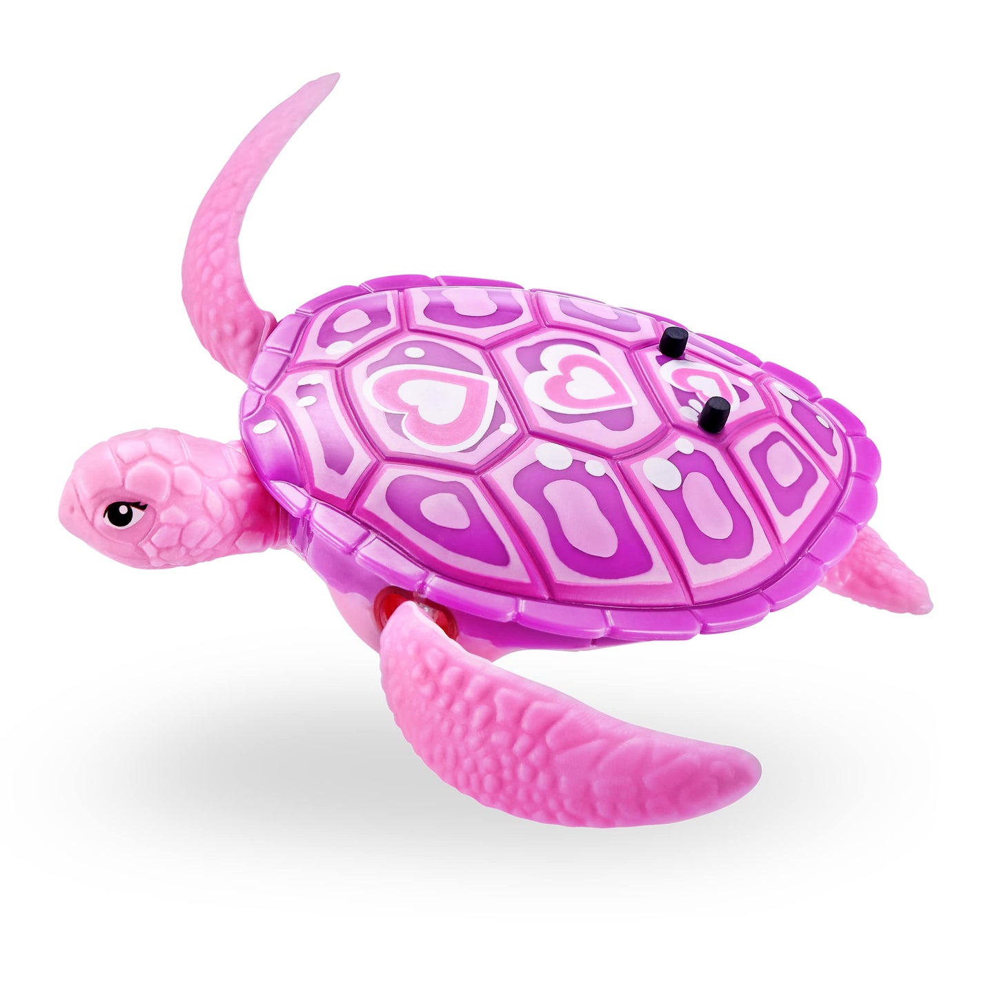 Water activated Robo Turtle crawling on land and swimming in water