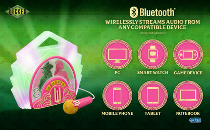 Rear view of the battery compartment and durable plastic construction of the audio device