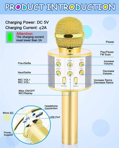 Dodosky Bluetooth children microphone speaker handle showing volume controls
