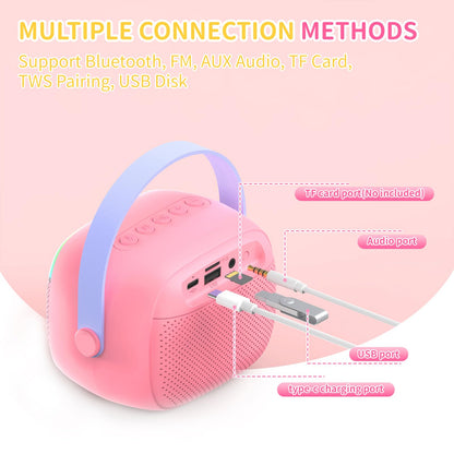 RSSIDOL portable music system displaying the back ports for USB TF card and auxiliary connections