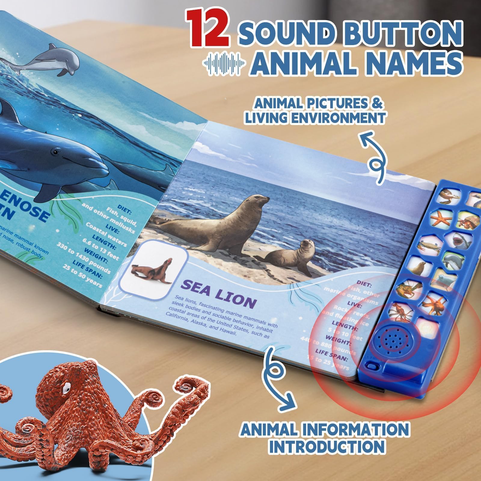 Child playing with Yeonha Toys ocean animal figures and sound book