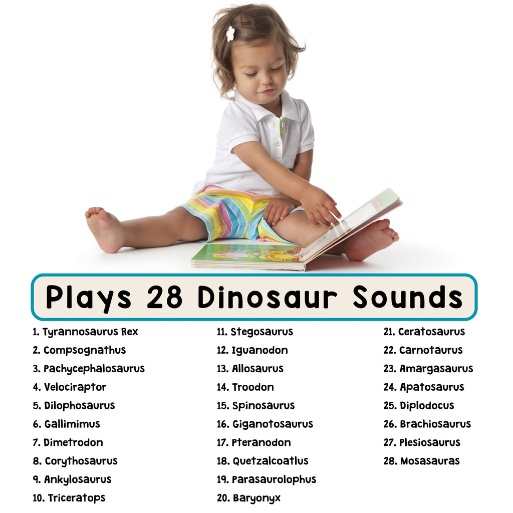 Close up of the 28 realistic sound buttons on the interactive book