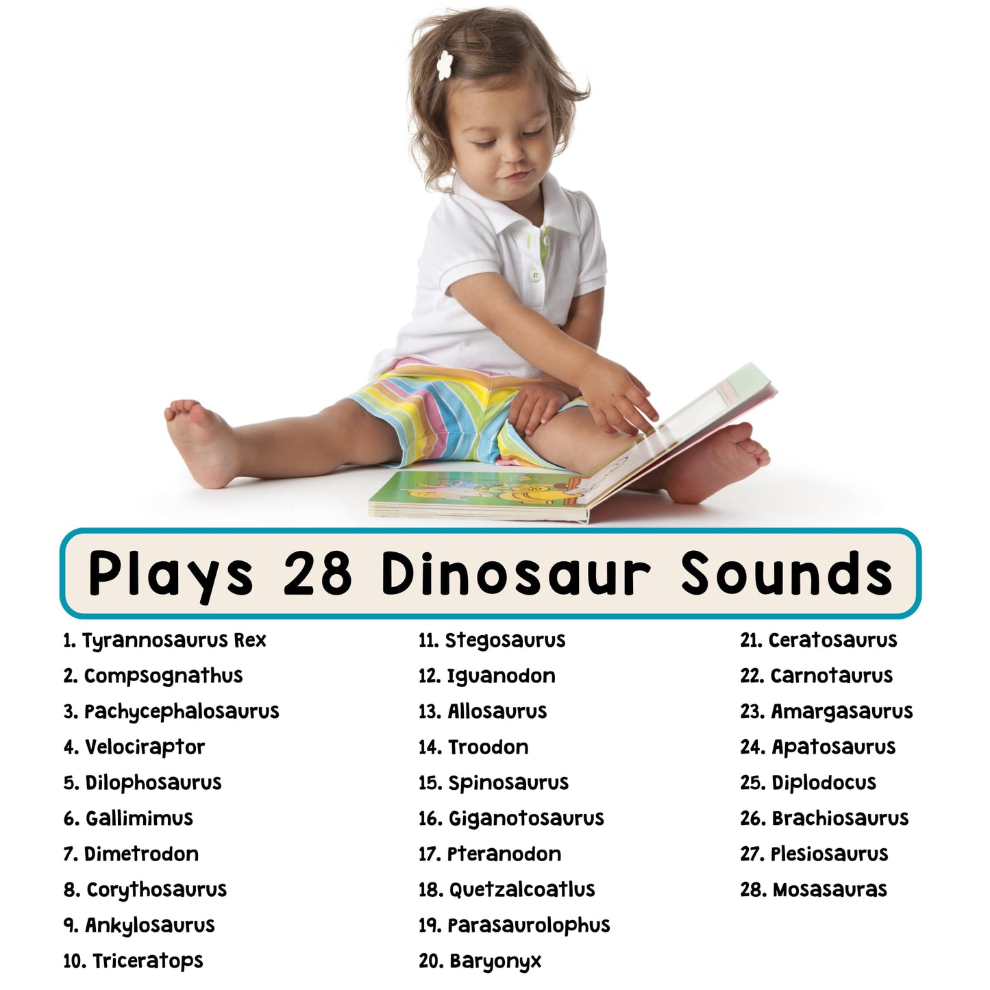 Close up of the 28 realistic sound buttons on the interactive book