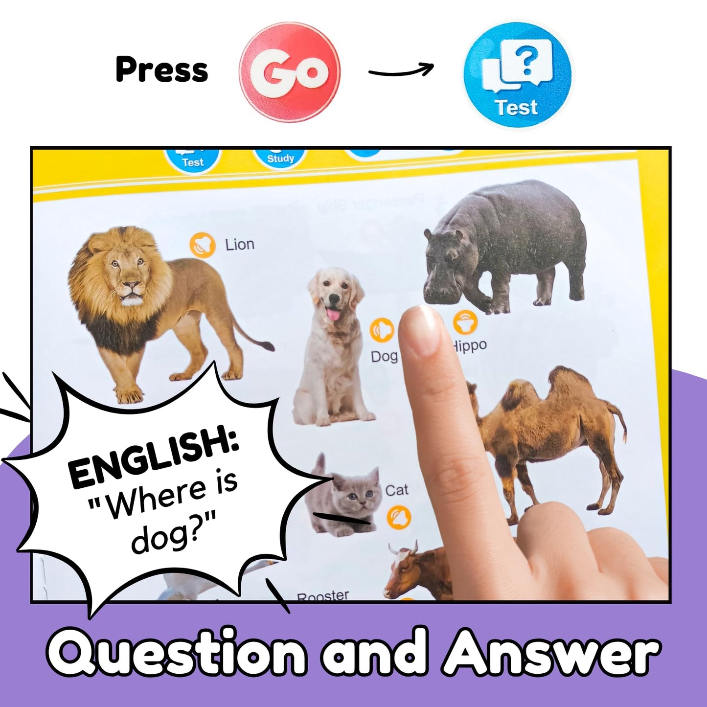 Zeenkind educational electronic toy demonstrating 300 words vocabulary learning