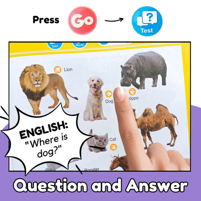 Zeenkind educational electronic toy demonstrating 300 words vocabulary learning