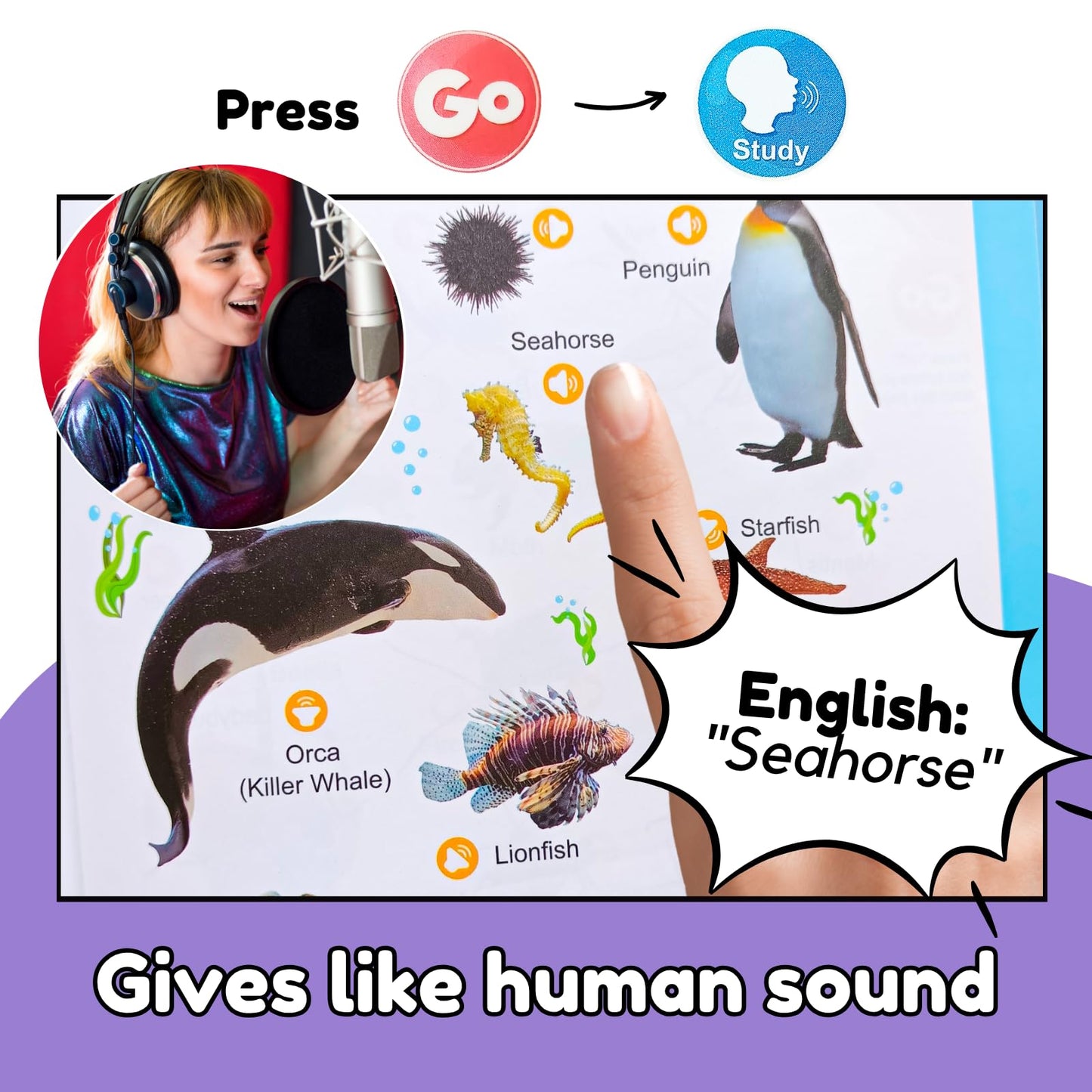 Toddler hands interacting with Zeenkind English words sound book