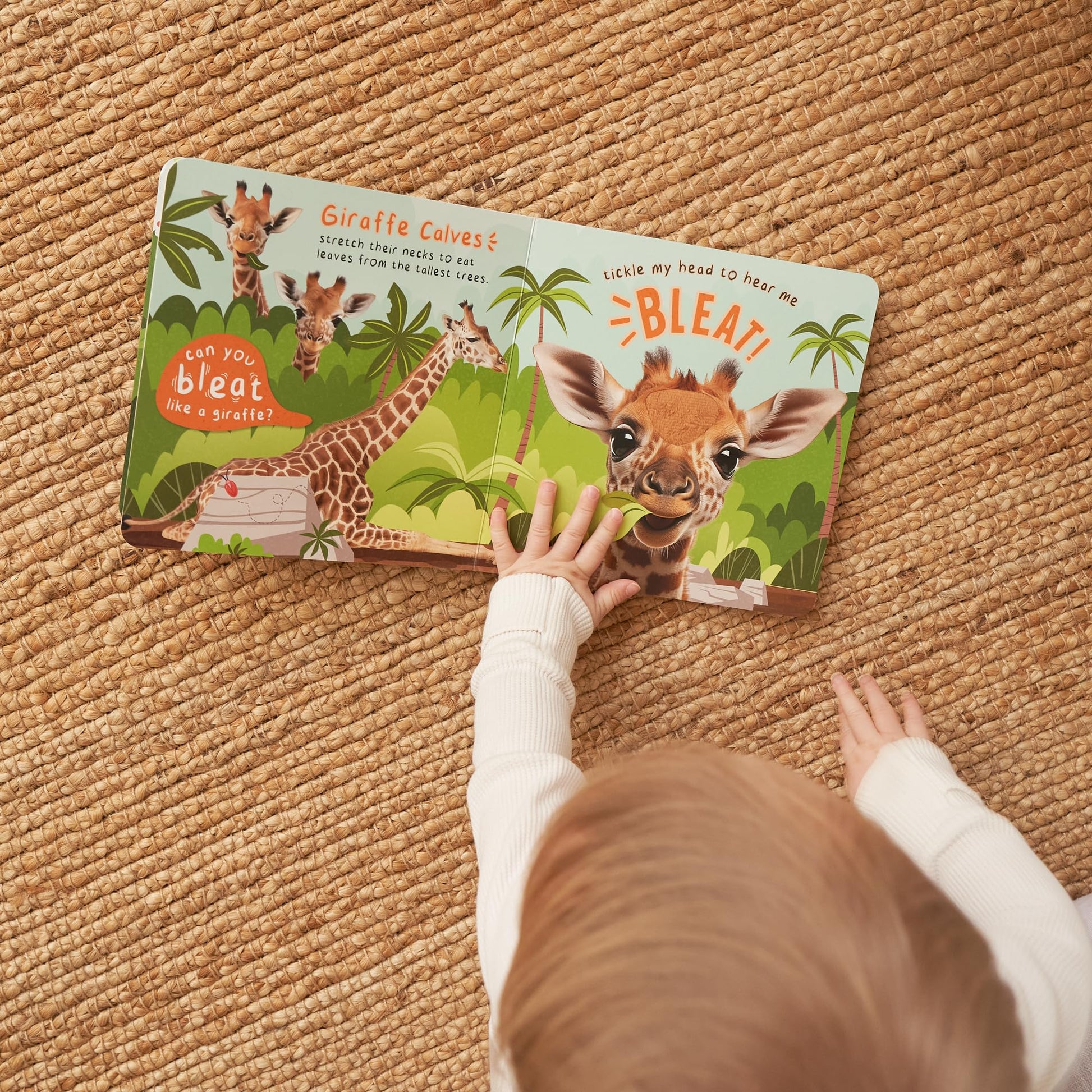 Open pages of Zicoto sound book with colorful farm illustrations
