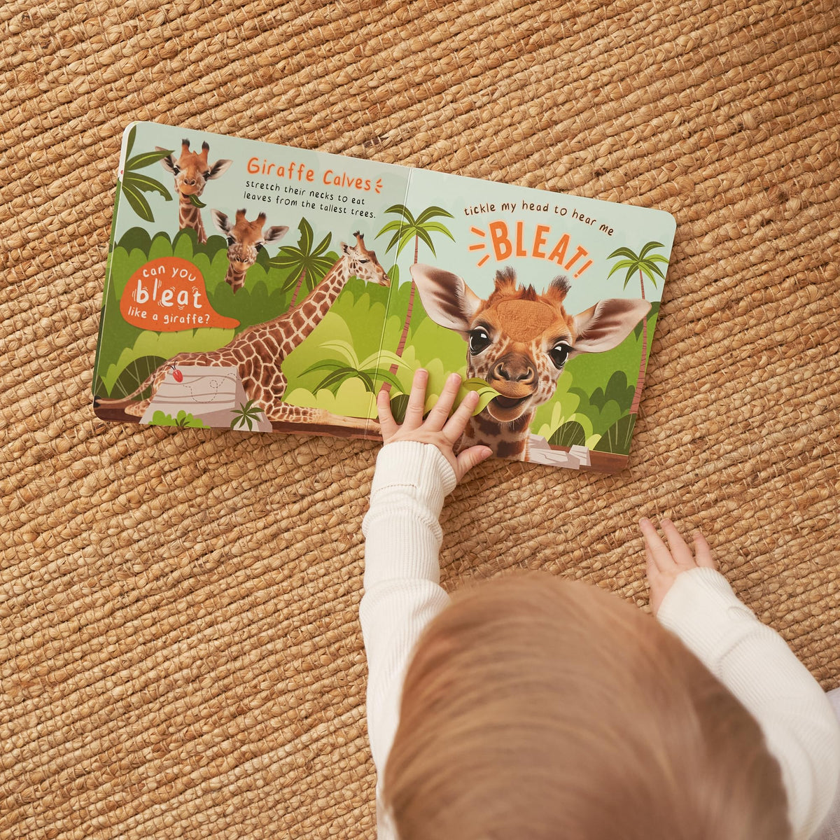 Open pages of Zicoto sound book with colorful farm illustrations