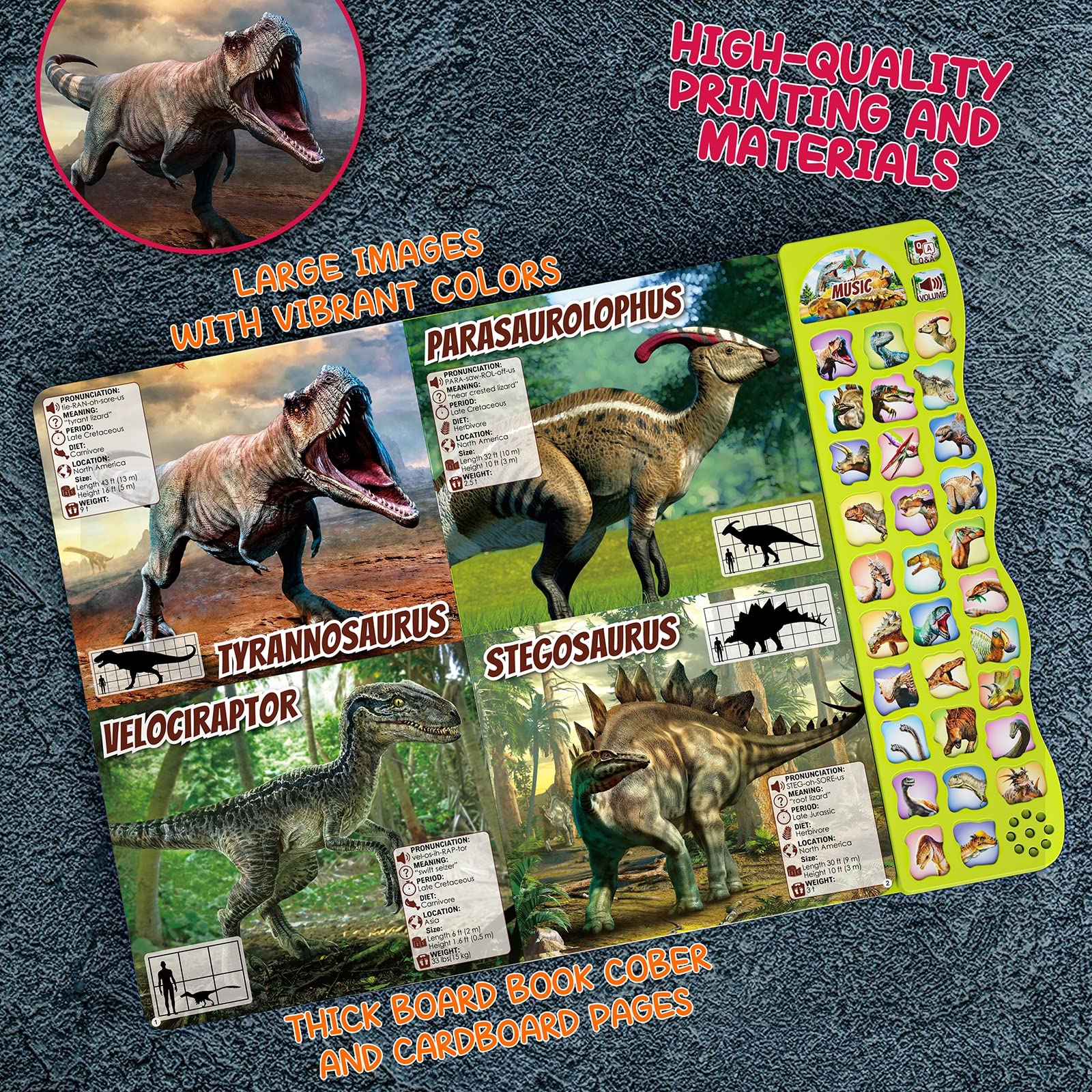 Durable cardboard pages of Gzsbaby dinosaur educational toy.